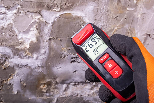 Best Mold Remediation Services  in Bowmansville, PA