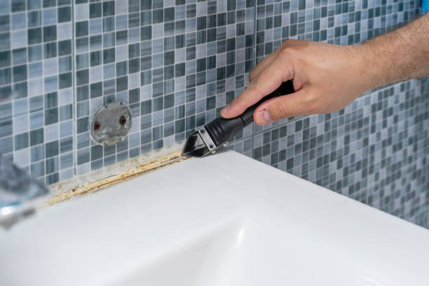 Best Mold Damage Repair  in Bowmansville, PA